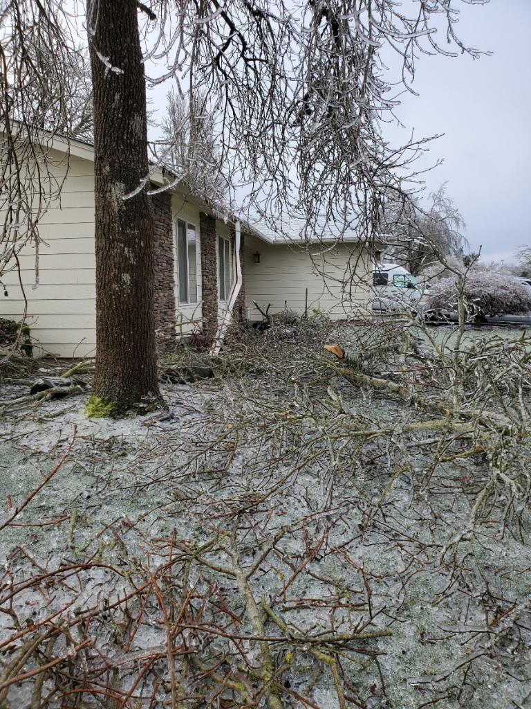 Roof Damage to a house