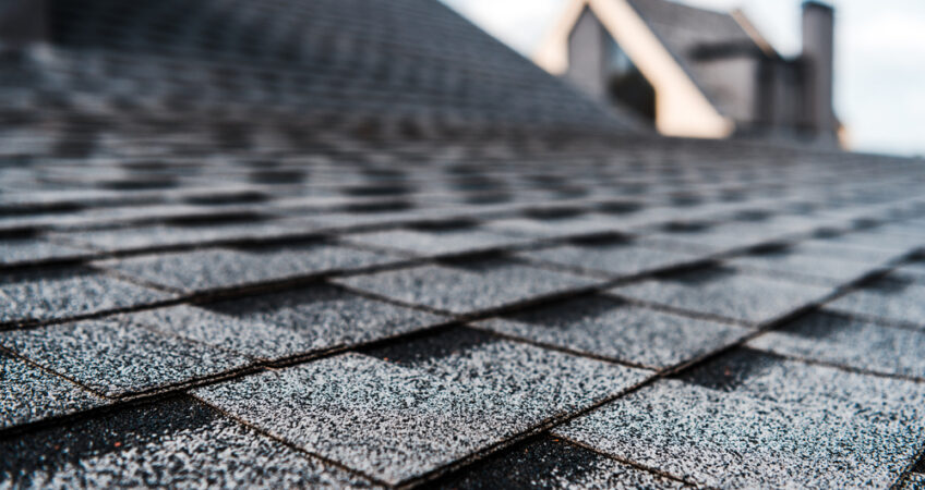 shingle roof